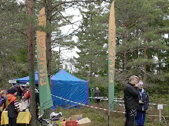 Tunge tuemyrer i Bohuslunken